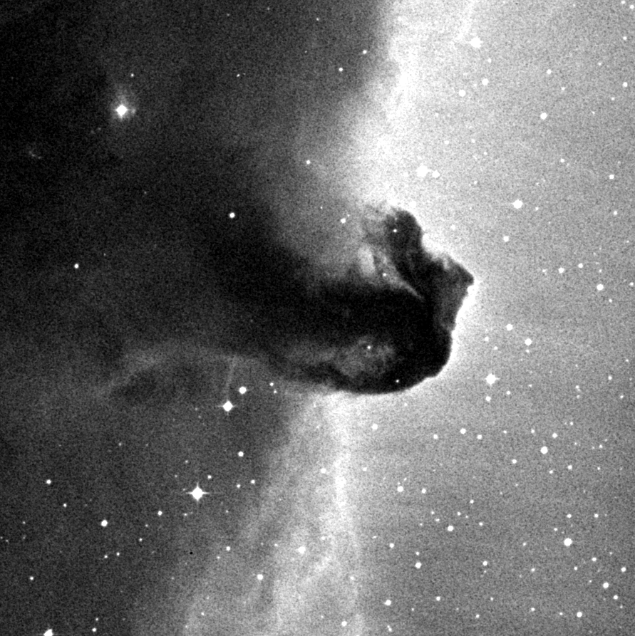 HorseHead.fits.browse.png